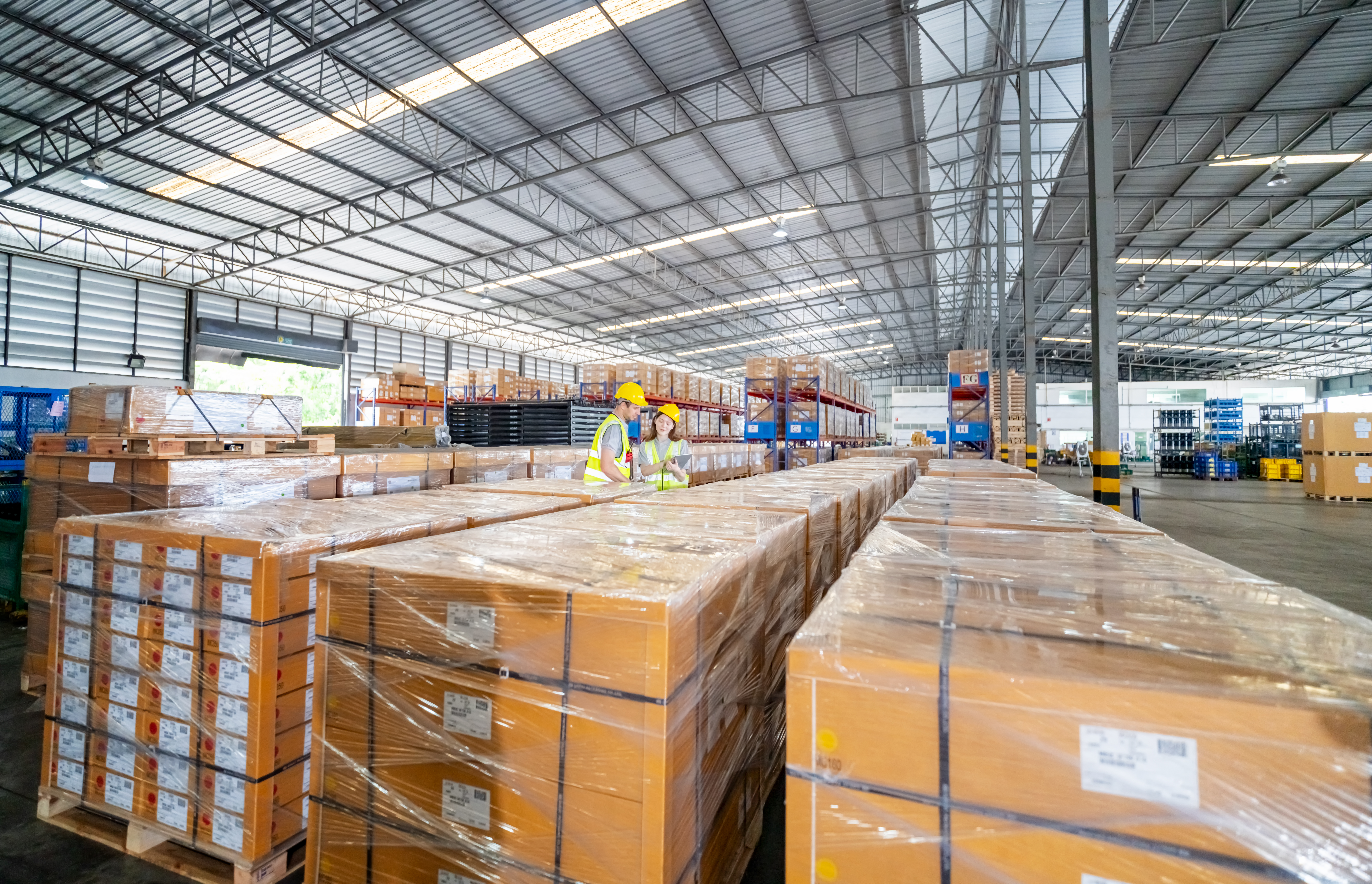 Distribución — Rocket Logistics Cloud